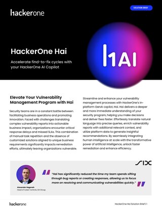 Hai Solution Brief